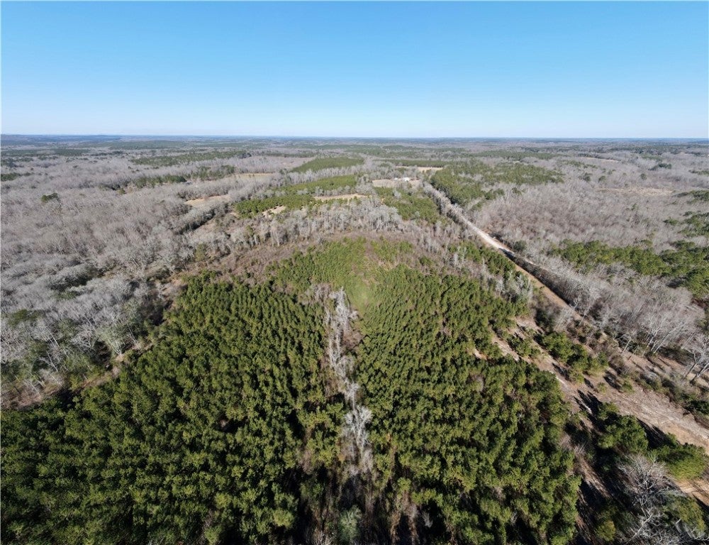 0 Brazell Road Camp Hill, AL 36850 - Photo 18 of 24 Gallery Image 18