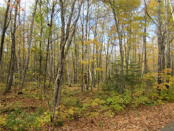 $29,500 | Lot 3 North Scheers Road, Hayward, WI 54843