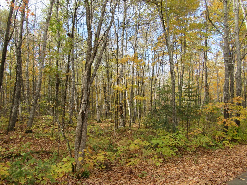 Lot 3 North Scheers Road Hayward, WI 54843 - Photo 1 of 17