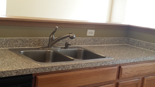 2474 Golf Ridge Circle, Unit 2474 Naperville, IL 60563 - Photo 11 of 16 a close view of sink and tap