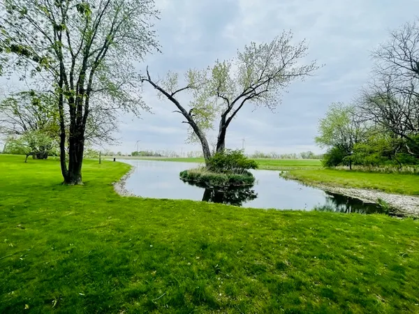 a view of a garden with a tree