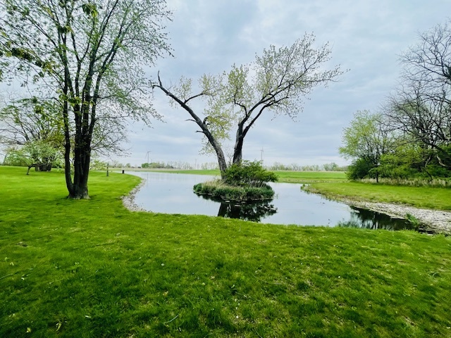 1976 East 24th Road Ransom, IL 60470 - Photo 5 of 32 a view of a garden with a tree