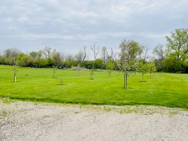 a view of a park