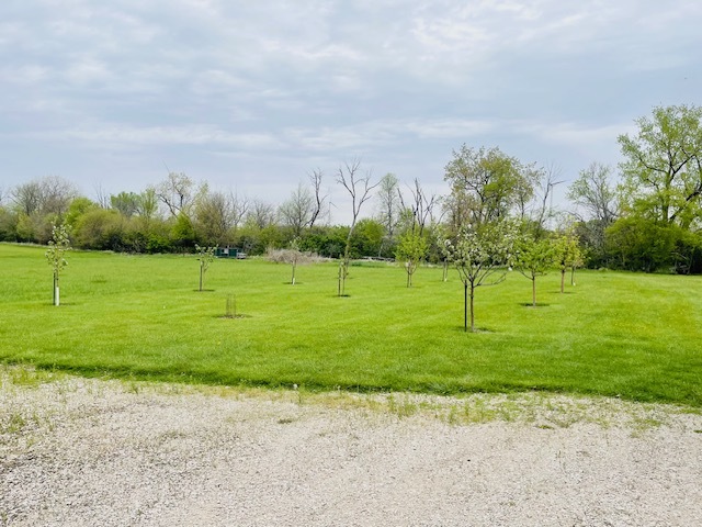 1976 East 24th Road Ransom, IL 60470 - Photo 6 of 32 a view of a park