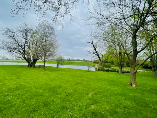 a view of grassy field with benches and trees all around