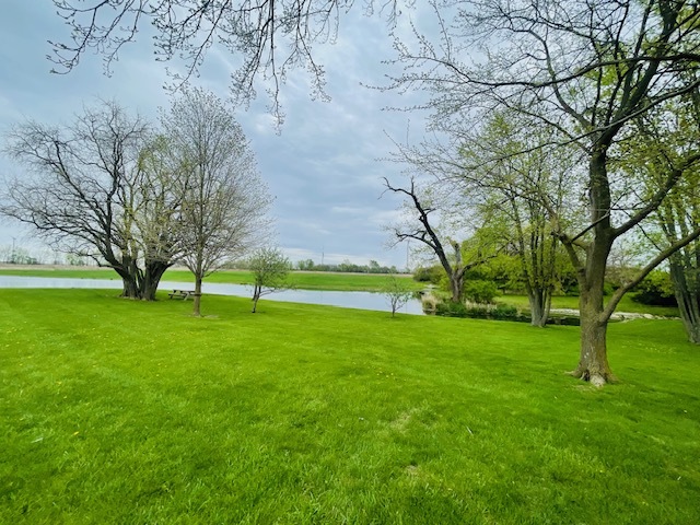 1976 East 24th Road Ransom, IL 60470 - Photo 7 of 32 a view of grassy field with benches and trees all around