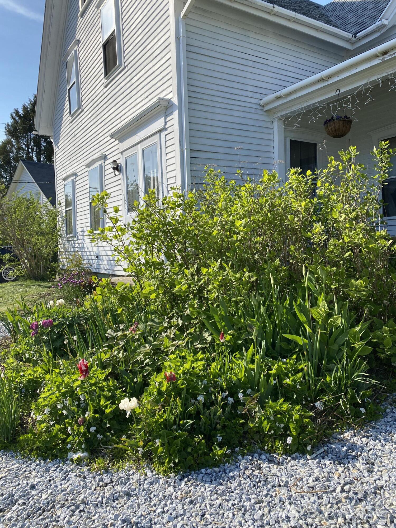75 Main Street Tenants Harbor, ME 04860 - Photo 34 of 38 IMG_8799