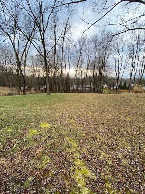 2216 Pressler Road Akron, OH 44312 - Photo 26 of 29 View of yard