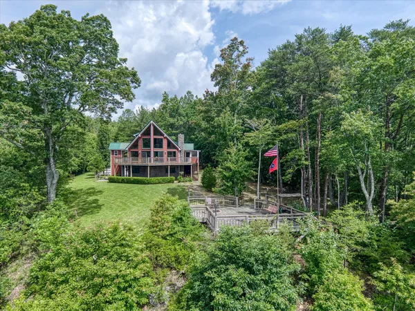 a view of a lush green forest with trees and houses