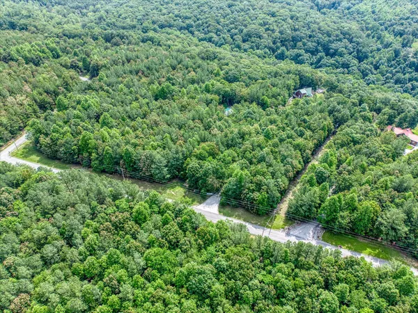 a view of a green field with lots of bushes