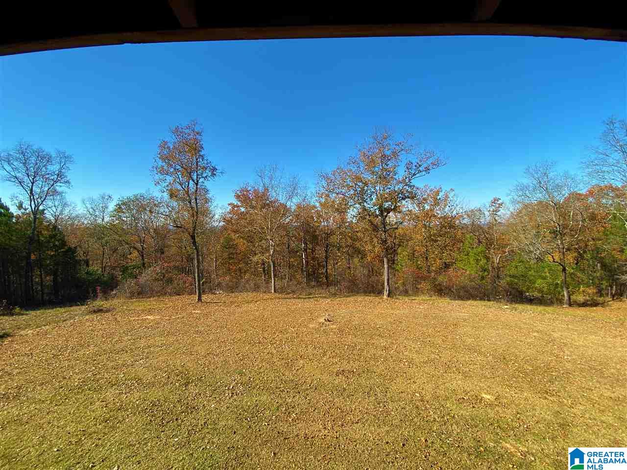 7541 Springer Road McCalla, AL 35111 - Photo 38 of 43