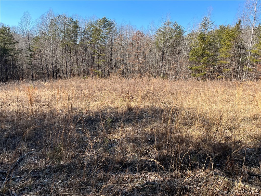 25660 Prince Edward Highway Rice, VA 23966 - Photo 15 of 23 Gallery Image 15