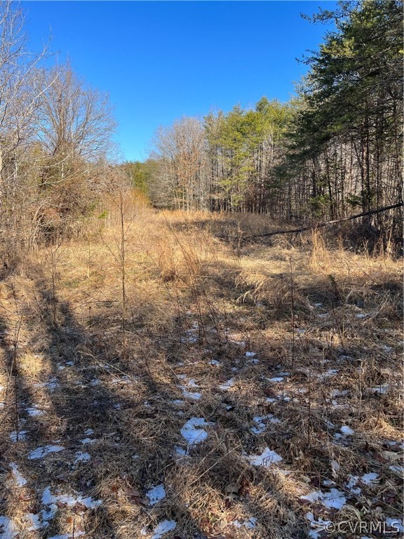 25660 Prince Edward Highway Rice, VA 23966 - Photo 17 of 23 Gallery Image 17