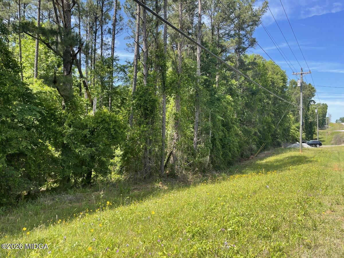 - Gray Road Southwest Eatonton, GA 31024 - Photo 1 of 9 IMG_7530