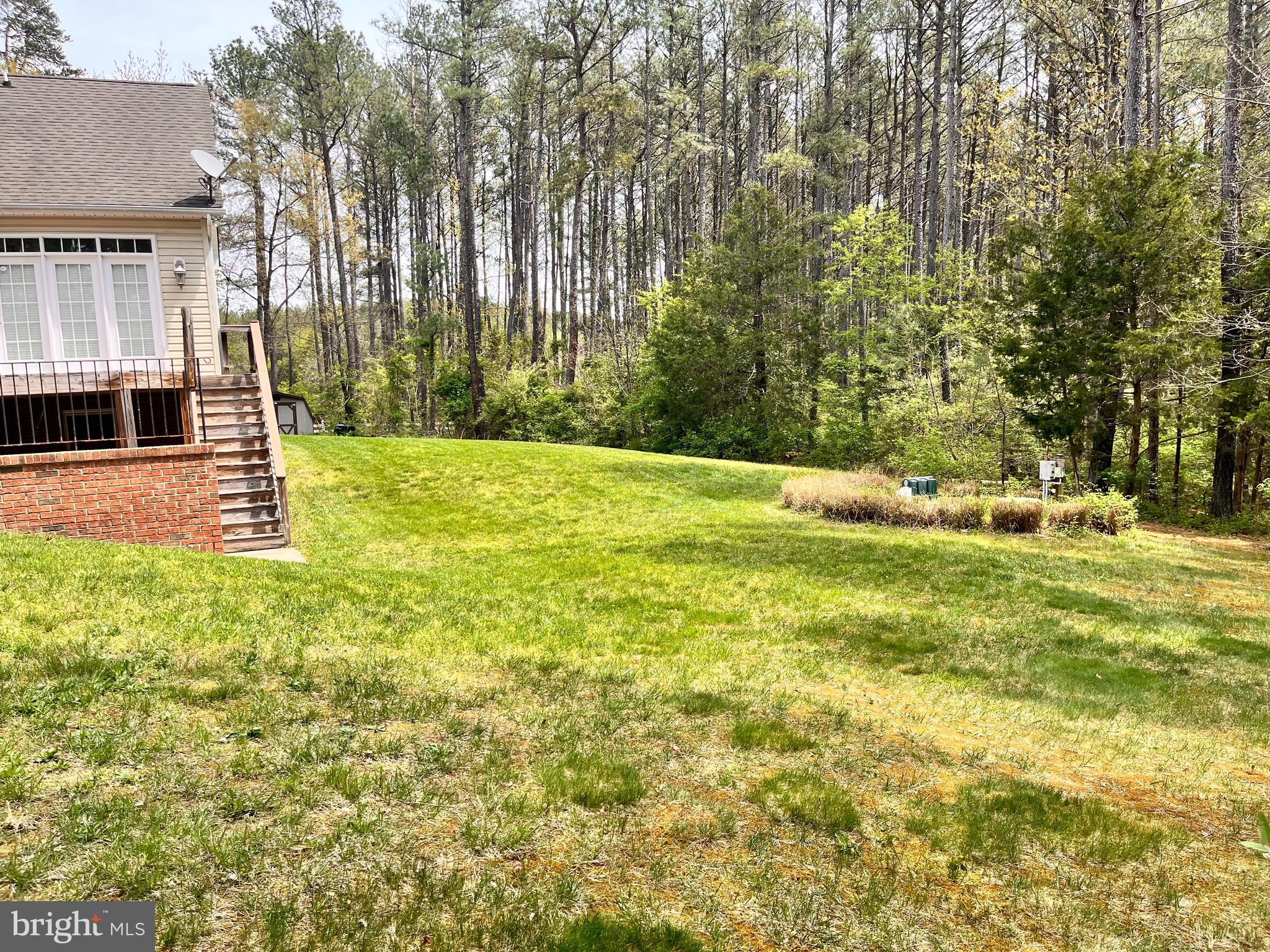 168 Thomas Drive Middletown, VA 22645 - Photo 18 of 66 a view of a backyard with large trees