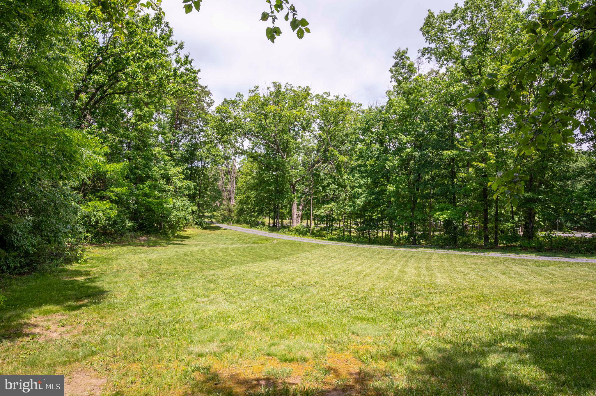 168 Thomas Drive Middletown, VA 22645 - Photo 32 of 66 a view of a yard with a trees
