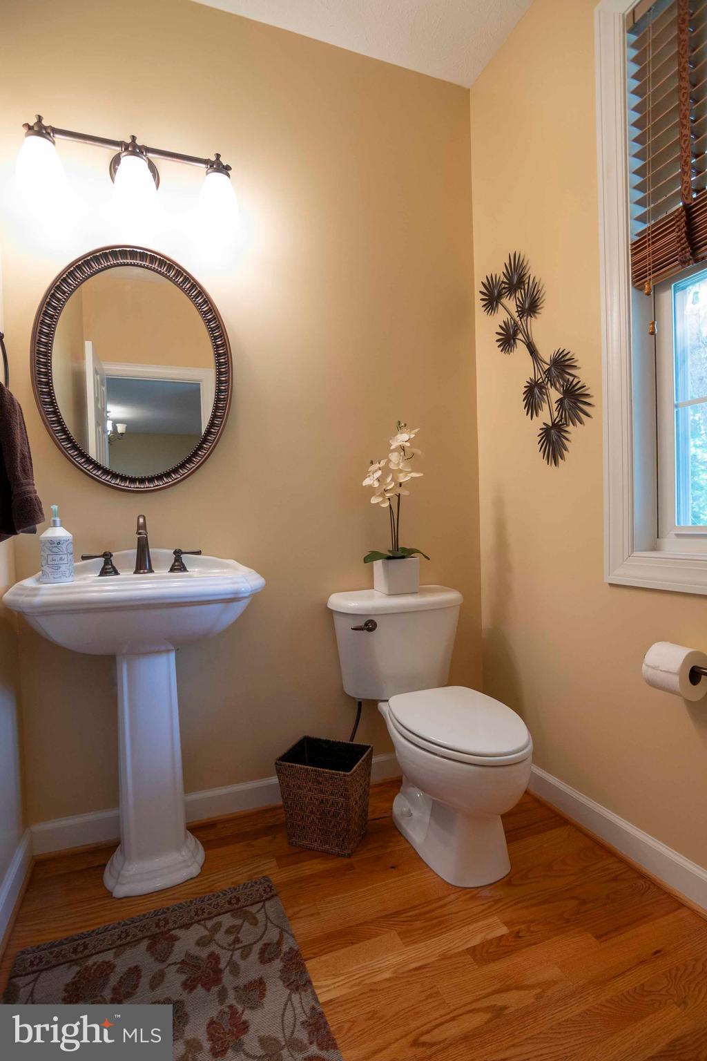 168 Thomas Drive Middletown, VA 22645 - Photo 39 of 66 a bathroom with a toilet a sink and a mirror