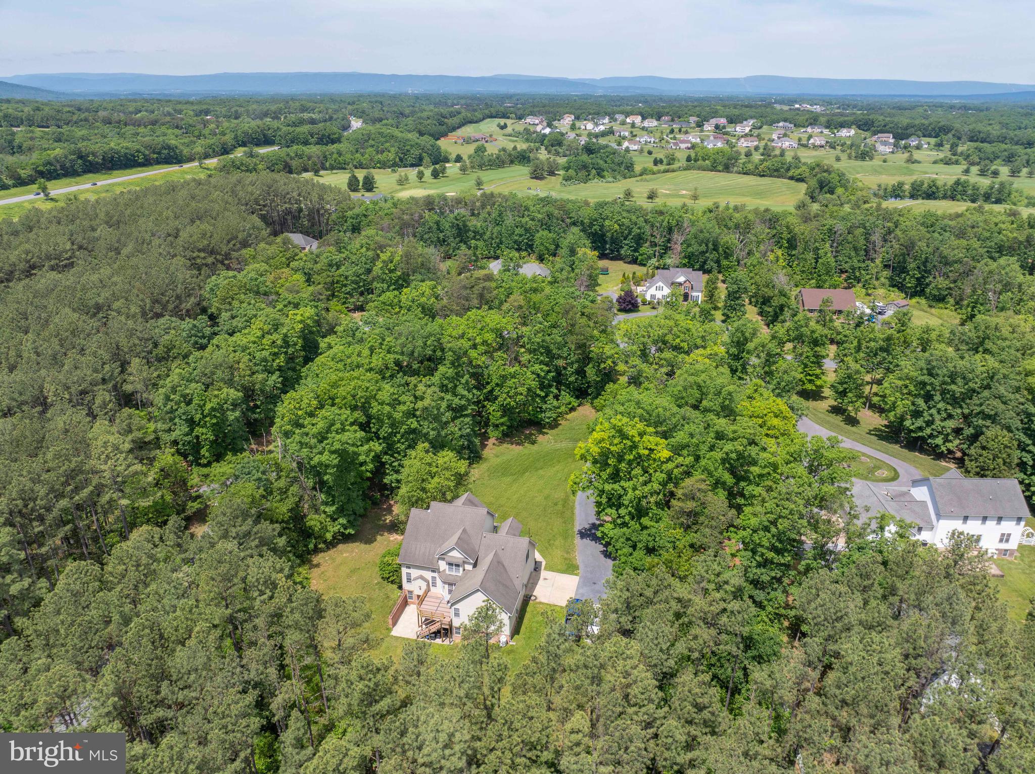 168 Thomas Drive Middletown, VA 22645 - Photo 7 of 66 a view of a lush green forest with trees and some houses