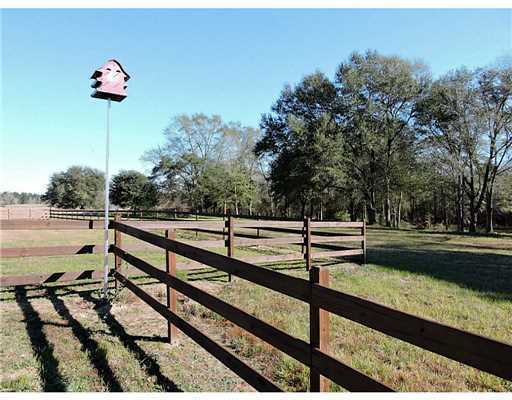 25030 Yellow Bluff Road Lucedale, MS 39452 - Photo 22 of 25 Additional Photo