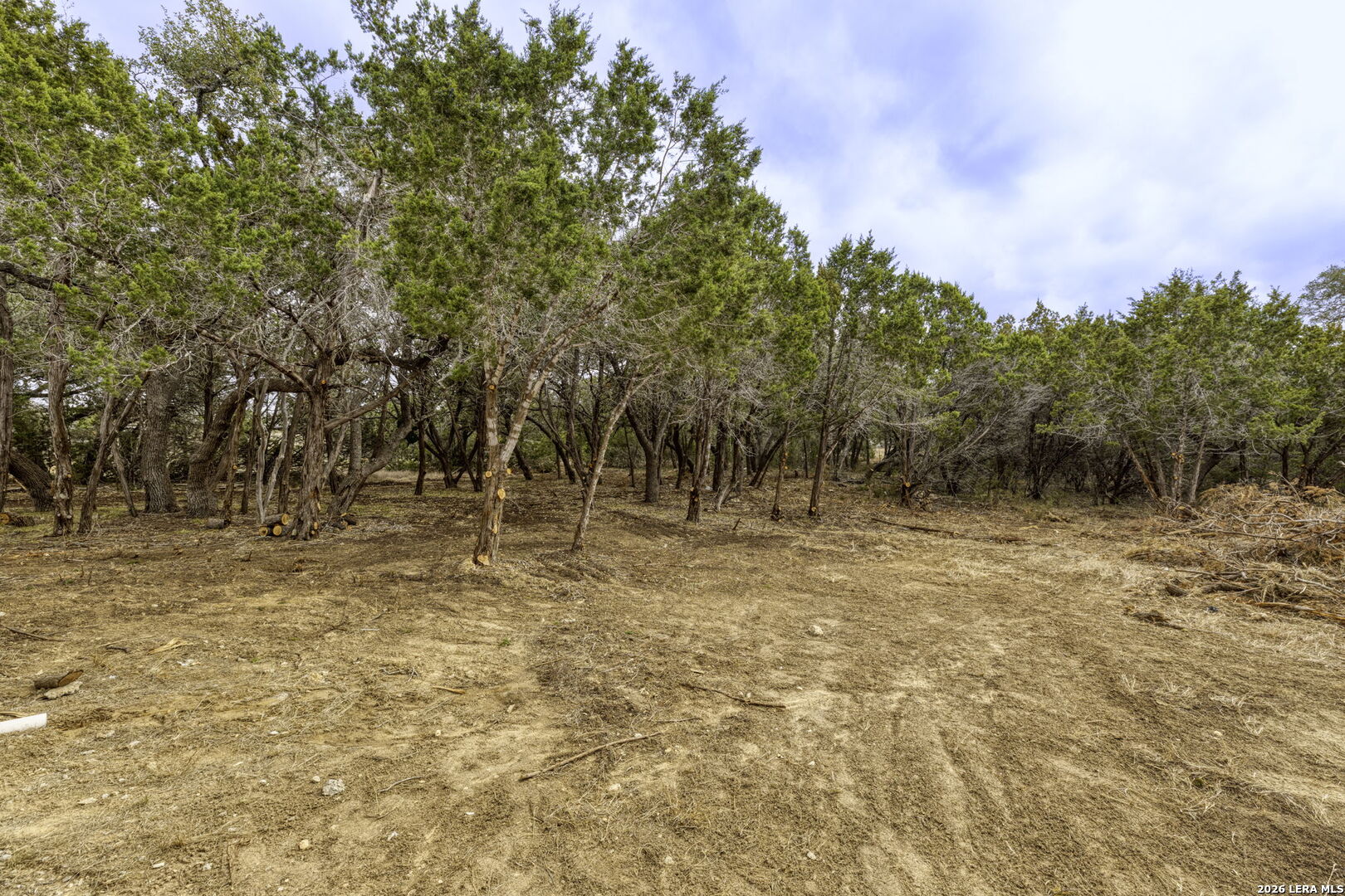 1595 Rocky Ridge Loop Canyon Lake, TX 78133 - Photo 25 of 31