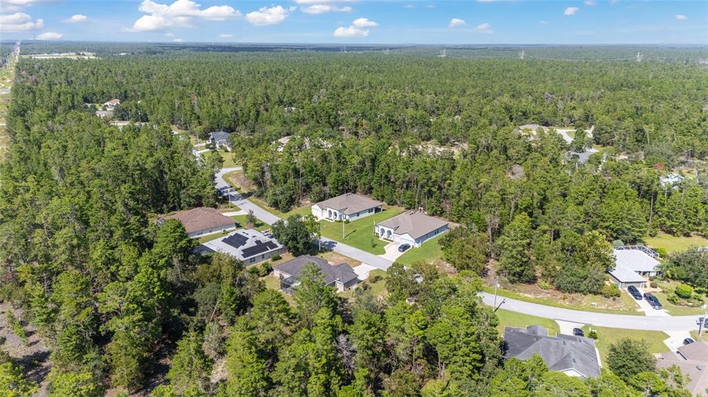 69 Grass Street Homosassa, FL 34446 - Photo 63 of 72 an aerial view of residential houses with outdoor space and trees