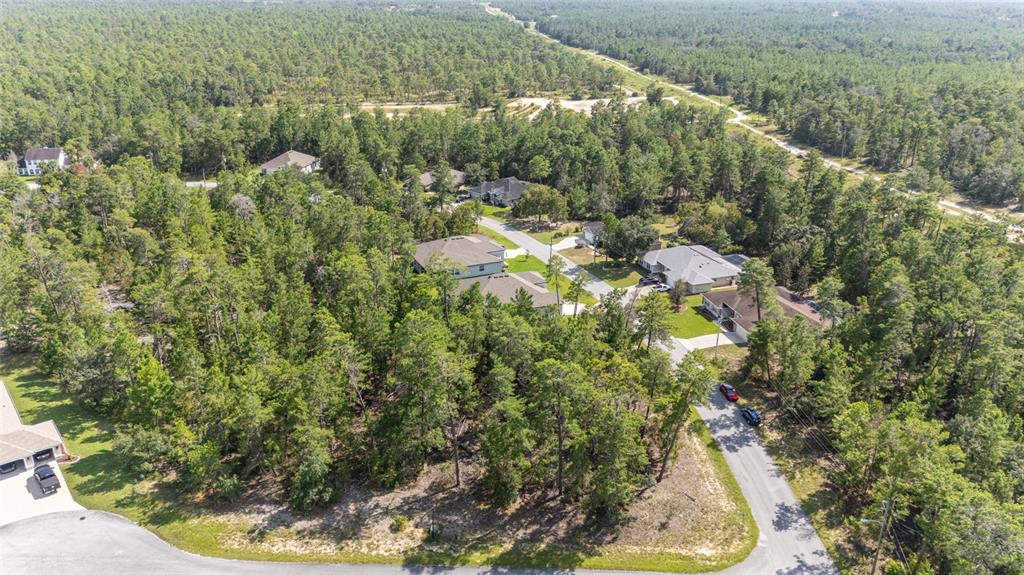 69 Grass Street Homosassa, FL 34446 - Photo 69 of 72 a view of a forest with a lake
