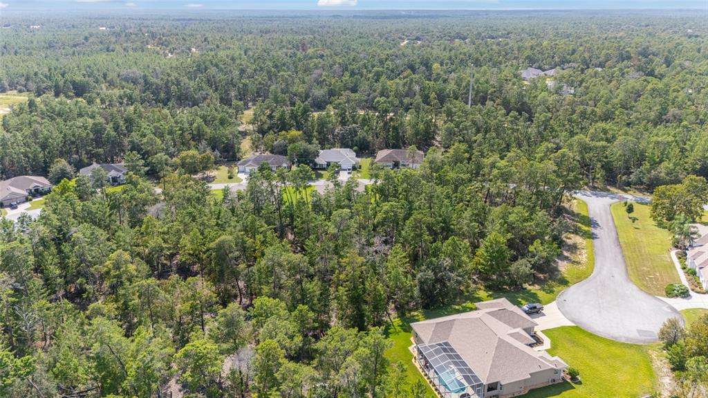 69 Grass Street Homosassa, FL 34446 - Photo 70 of 72 an aerial view of residential houses with outdoor space and trees