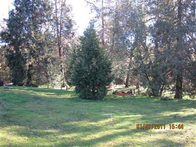 43247 Millwood Road Dunlap, CA 93621 - Photo 5 of 18 Gallery Image 5
