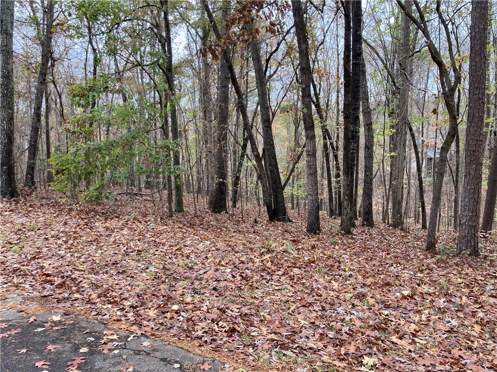 406 Blue Ridge Court Westminster, SC 29693 - Photo 15 of 15 Gallery Image 15