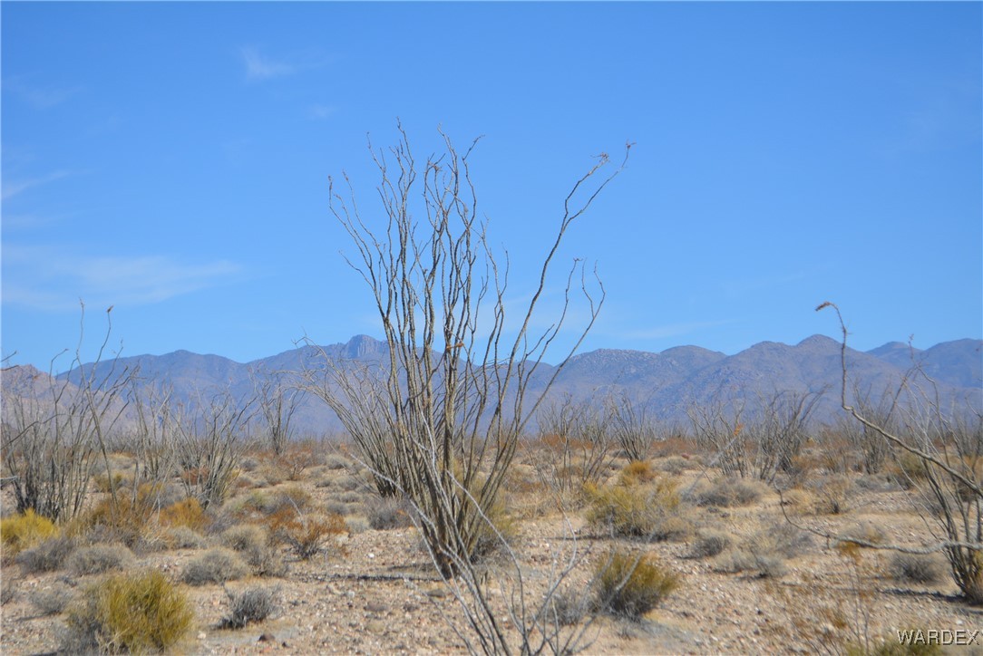 245-24-107 South Rainbow Road Yucca, AZ 86438 - Photo 54 of 91