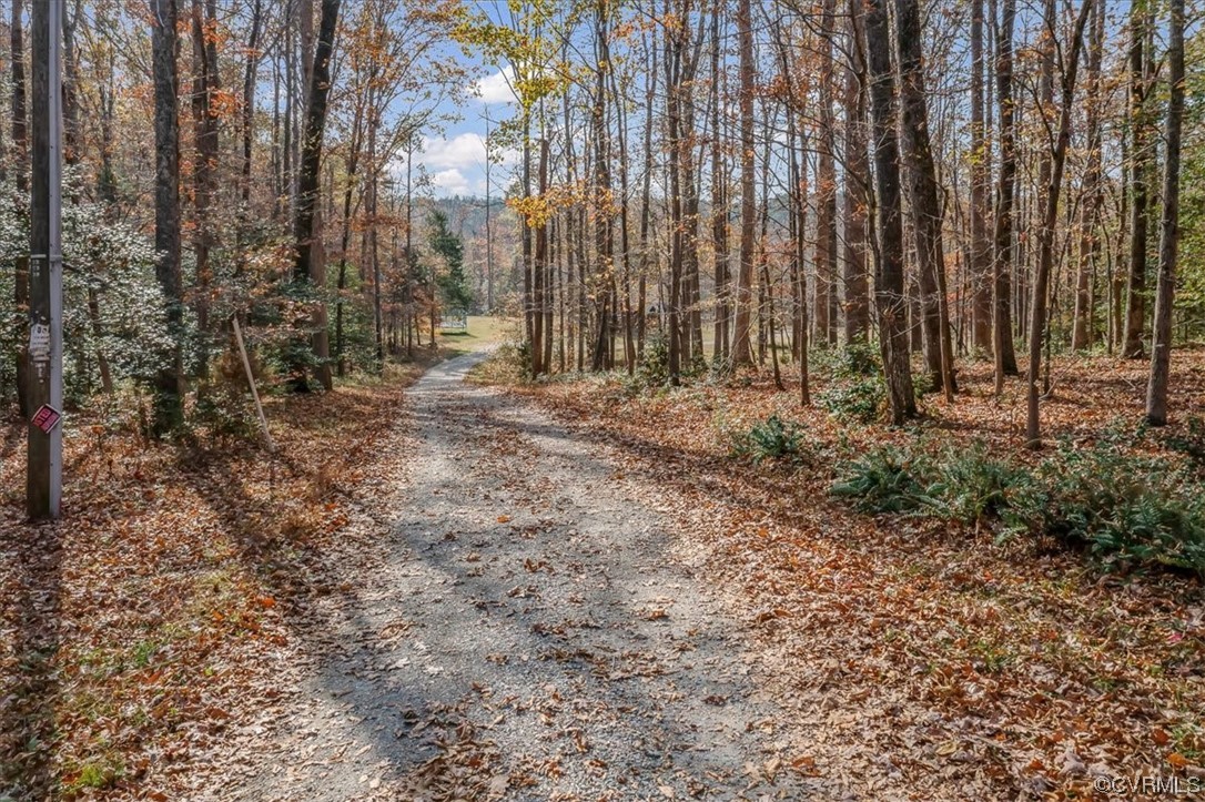 3105 Blue Bell Farms Road Powhatan, VA 23139 - Photo 2 of 50 a view of a backyard with trees