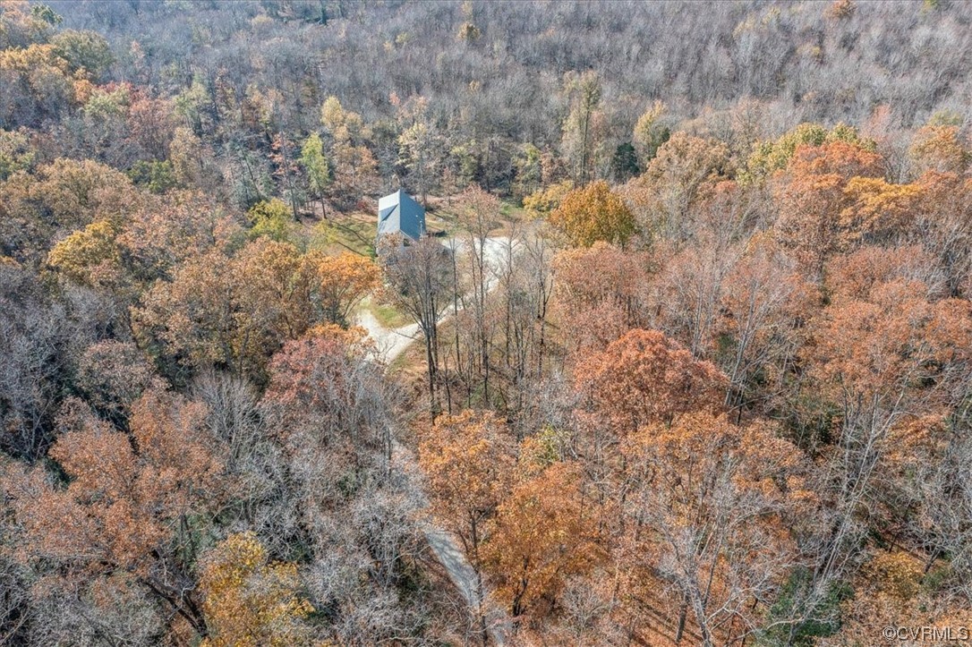 3105 Blue Bell Farms Road Powhatan, VA 23139 - Photo 3 of 50 a view of a dry yard with green space