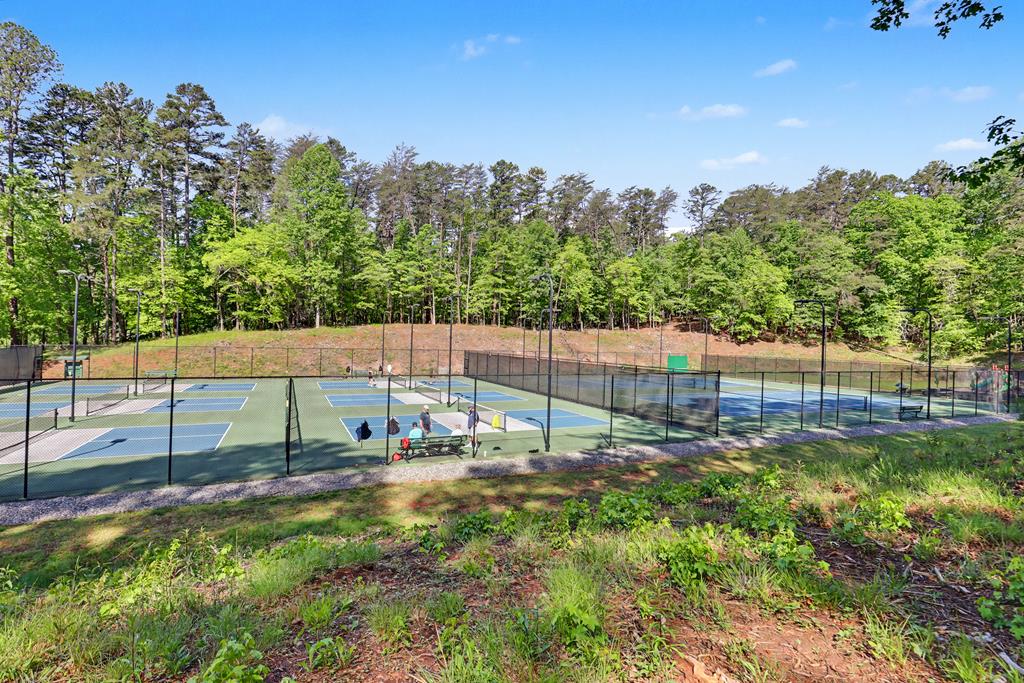 519 Pinecrest Road Sautee Nacoochee, GA 30571 - Photo 95 of 104