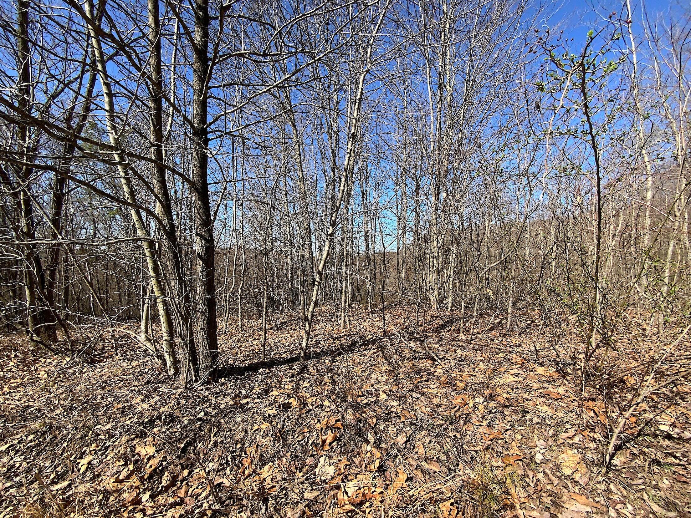 0 Kelly Road Ray, OH 45672 - Photo 6 of 46 Vinton County Kelly Rd 5