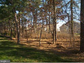 57 Quail Road Barnegat, NJ 08005 - Photo 11 of 11