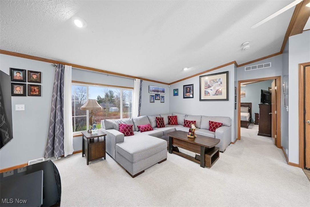 17296 Old State Road Middlefield, OH 44062 - Photo 6 of 44 Carpeted living room featuring crown molding, a textured ceiling, and vaulted ceiling