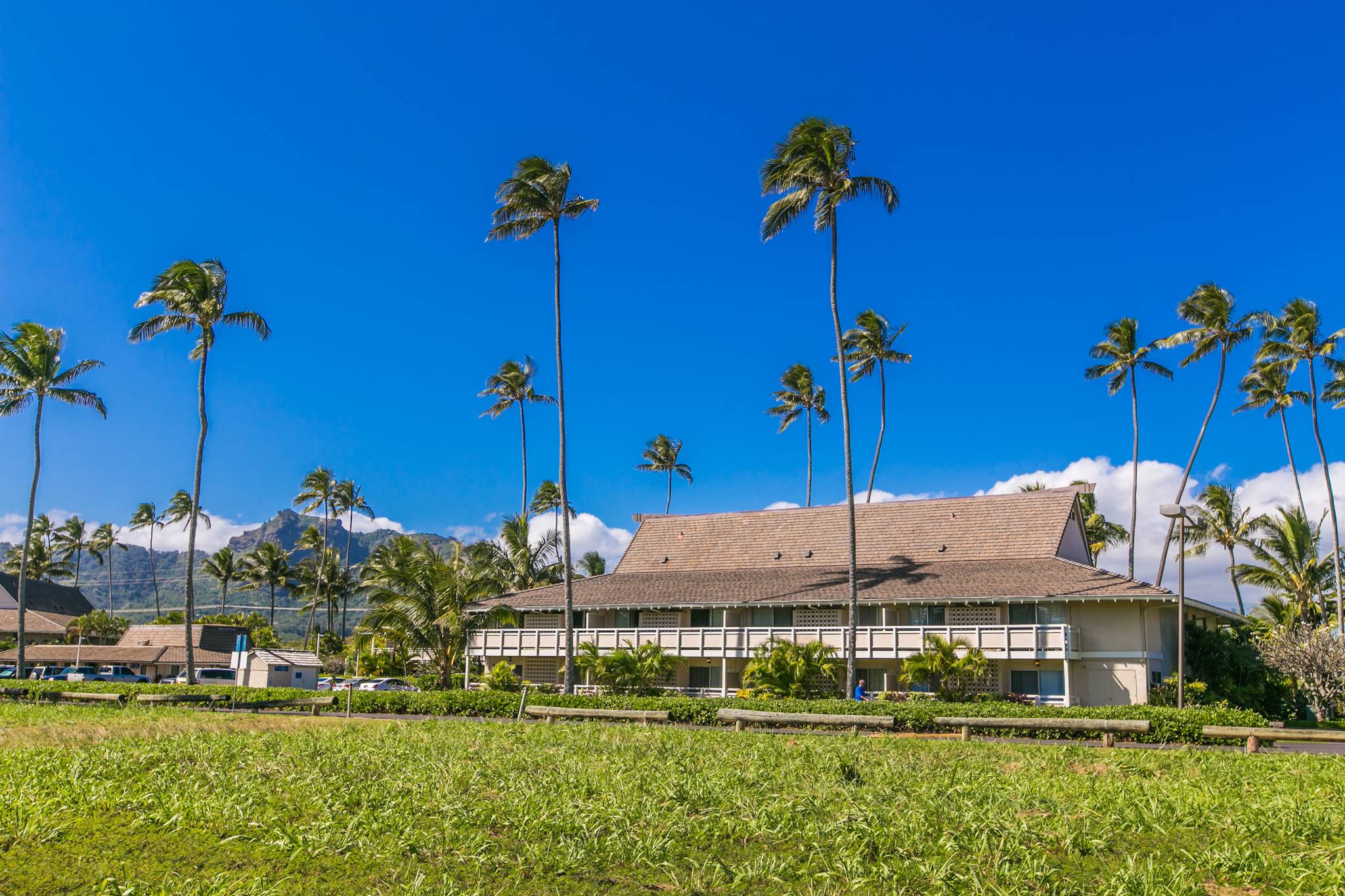 525 Aleka Loop, Unit H7 Kapaa, HI 96746 - Photo 23 of 30 a view of a house with a yard and potted plants