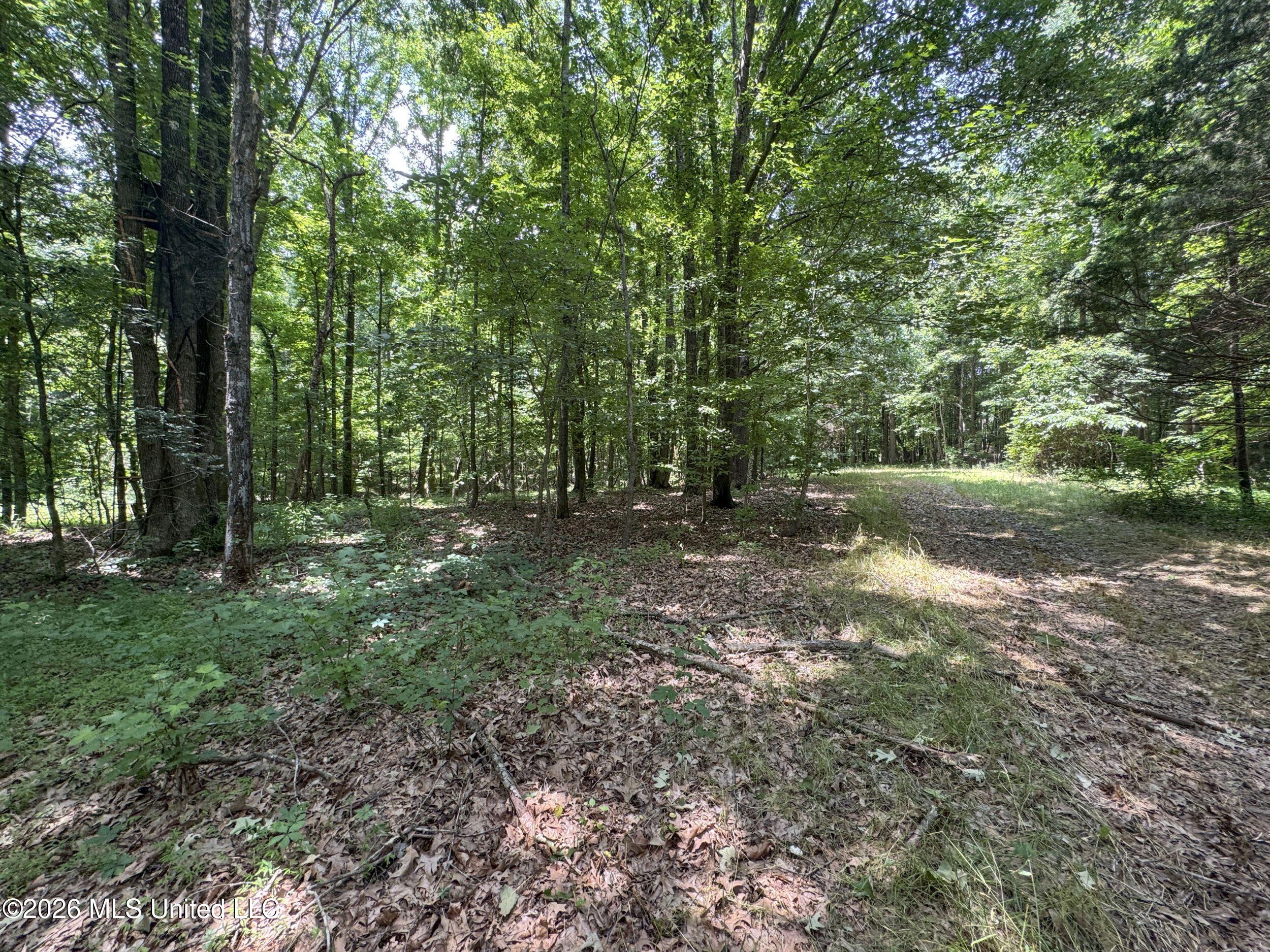 884 Avant Road Crenshaw, MS 38621 - Photo 117 of 154 6dbyicr61
