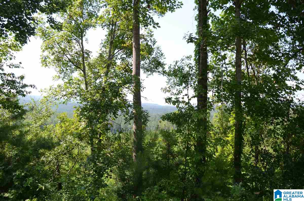 10098 County Road 55, Unit 24 ACRES Fruithurst, AL 36262 - Photo 21 of 27