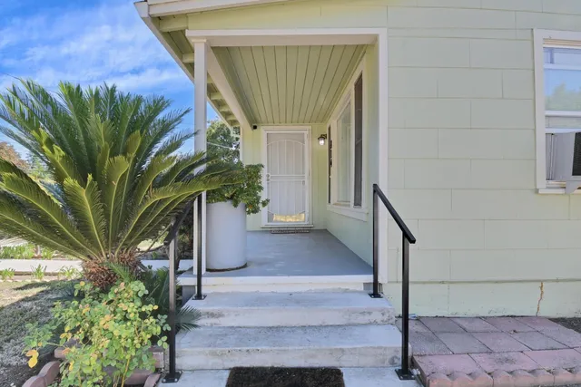 a potted plant in front of a door