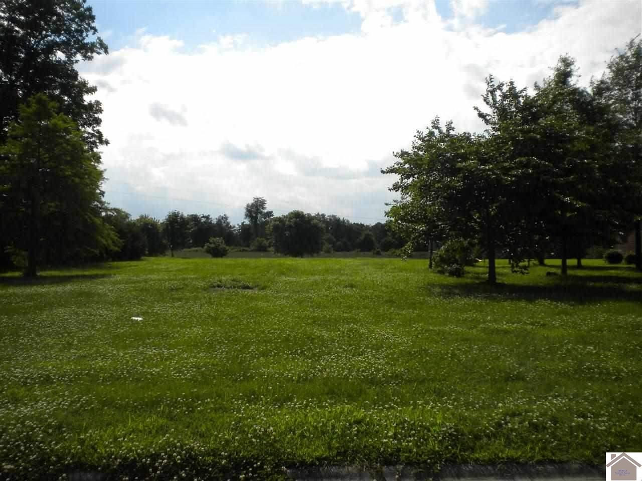 115 Harting Ridge Road, Unit 42 West Paducah, KY 42086 - Photo 1 of 1 Photo 1