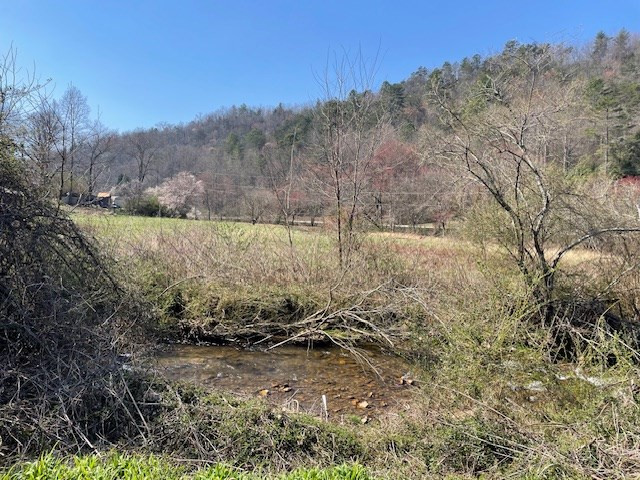 107 Minor Road Marble, NC 28905 - Photo 7 of 40