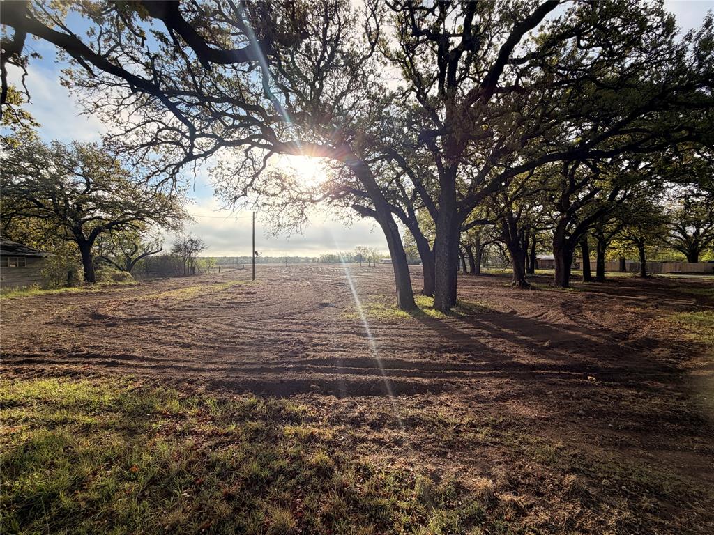 1331 Stephens Street Clyde, TX 79510 - Photo 3 of 6 a view of yard with trees