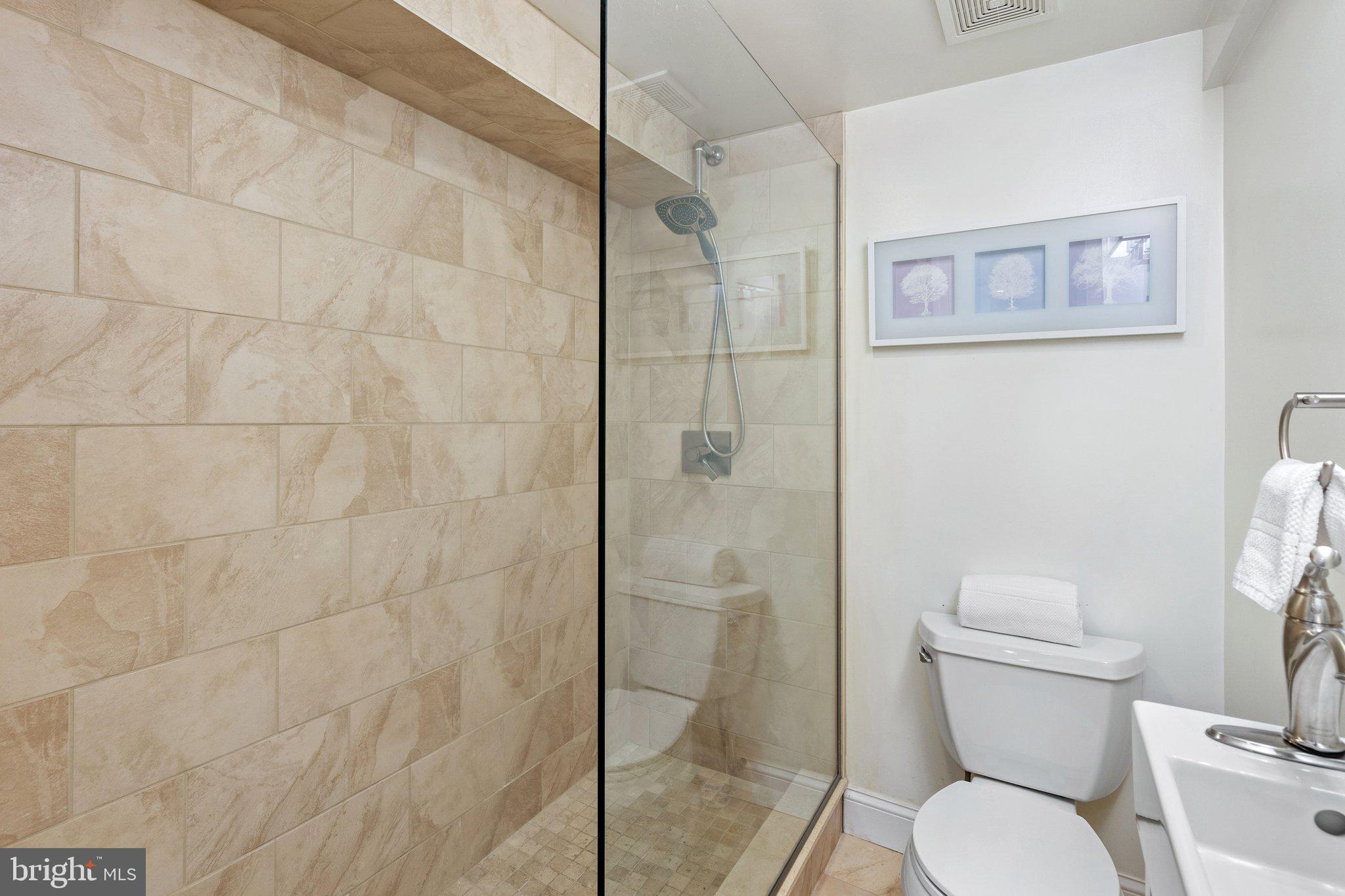 628 E Street Northeast Washington, DC 20002 - Photo 39 of 46 LL full bath with glass shower