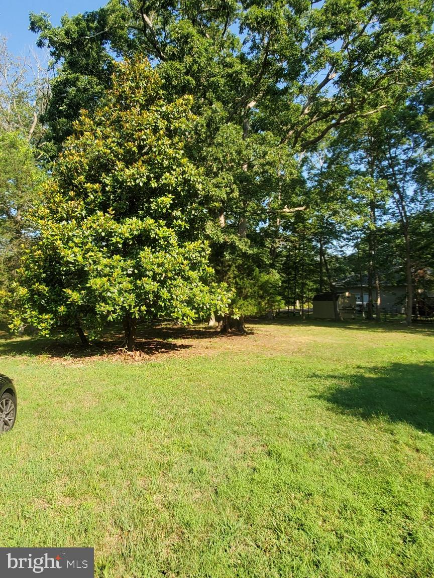 16404 Bealle Hill Road Accokeek, MD 20607 - Photo 11 of 19