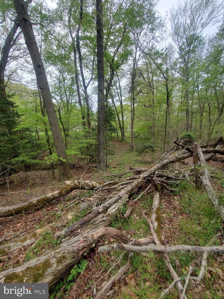 16404 Bealle Hill Road Accokeek, MD 20607 - Photo 12 of 19