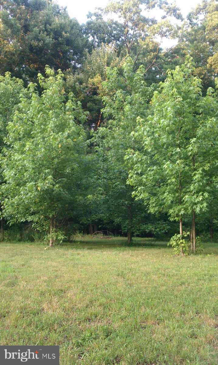 16404 Bealle Hill Road Accokeek, MD 20607 - Photo 13 of 19