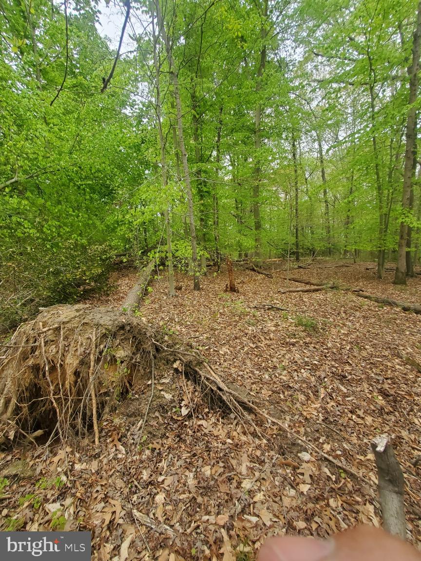 16404 Bealle Hill Road Accokeek, MD 20607 - Photo 15 of 19