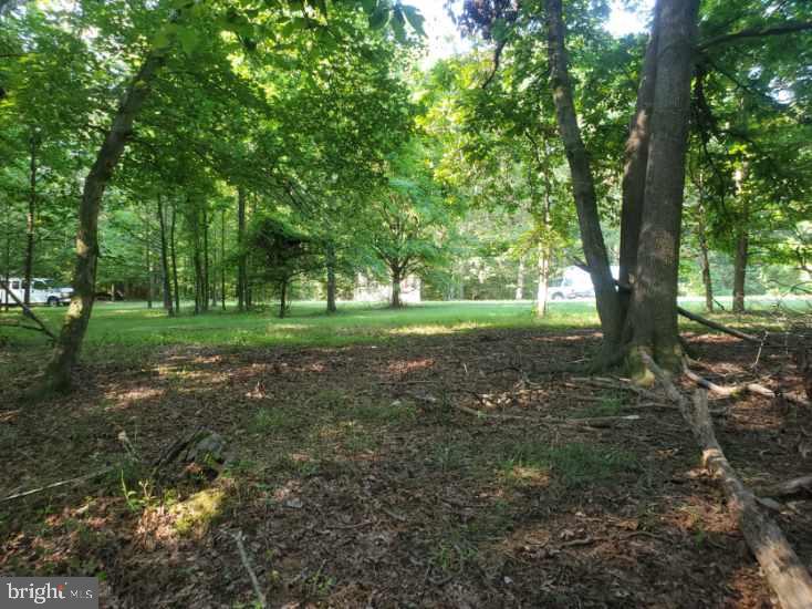 16404 Bealle Hill Road Accokeek, MD 20607 - Photo 5 of 19