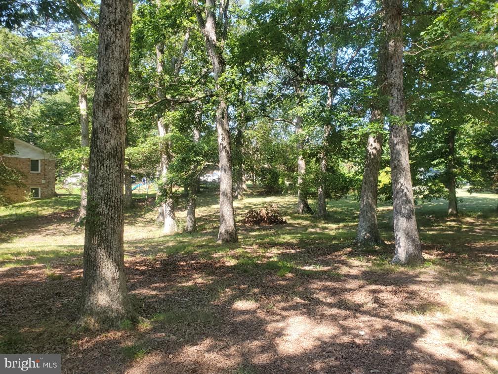 16404 Bealle Hill Road Accokeek, MD 20607 - Photo 6 of 19